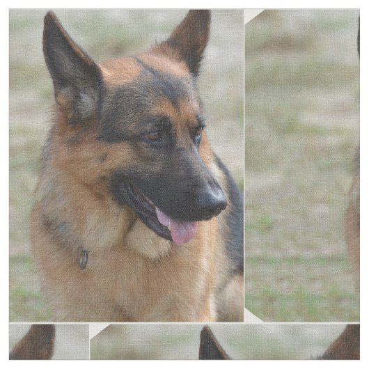 Schattig-Duitse herder Stof (Close Up)