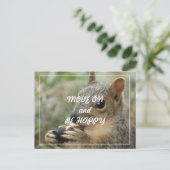 Schattig eekhoorn briefkaart- ga verder en wees bl briefkaart (Staand voorkant)