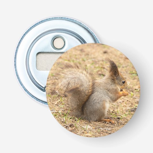 Schattig eekhoorn eet een noot foto button flesopener (Voorkant)