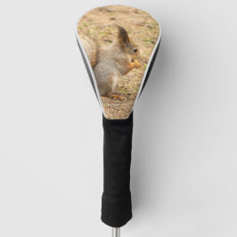 Schattig eekhoorn eet een noot foto golfheadcover