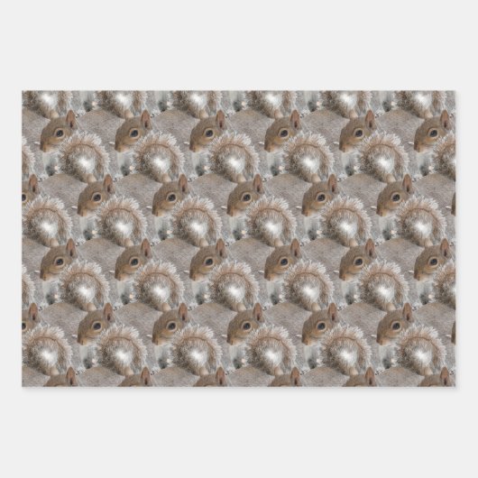 Schattig eekhoornportret inpakpapier (Voorkant)