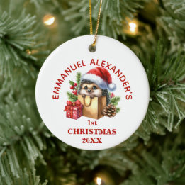 Schattig Egeltje Eerste Kerstmis Persoonlijk Keramisch Ornament