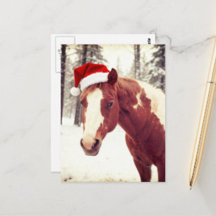 Schattig en Aardig Kerstmis Paint Paard Briefkaart