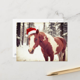 Schattig en Aardig Kerstmis Paint Paard Briefkaart