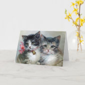 Schattig en Cuter, Schattige Katten, Kaart (Gele Bloem)