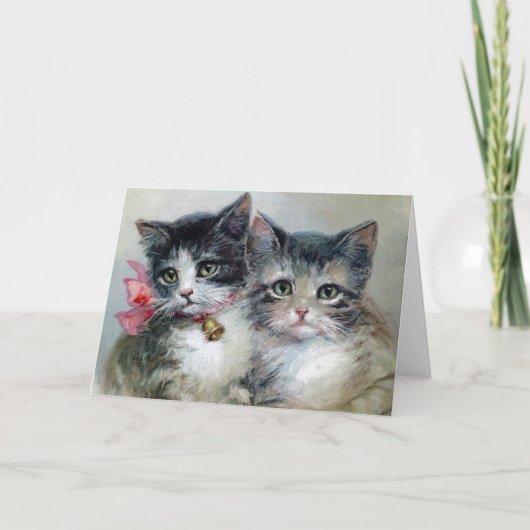 Schattig en Cuter, Schattige Katten, Kaart (Voorkant)