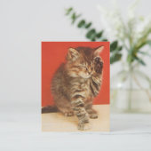 Schattig en knuffelig katje briefkaart (Staand voorkant)