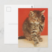 Schattig en knuffelig katje briefkaart (Voorkant / Achterkant)