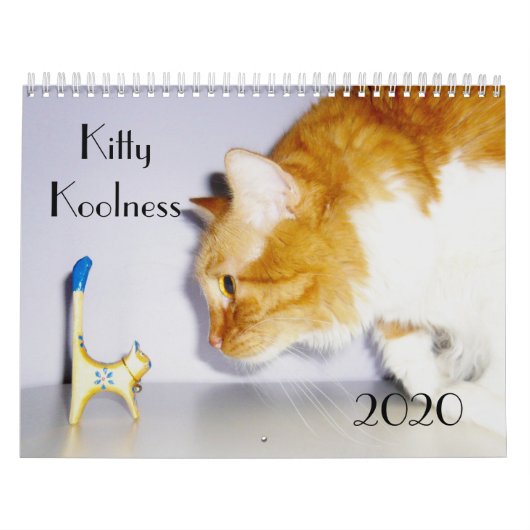 Schattig en leuk "Kitty Koolness" 2024 kattenkalen Kalender (Hoes)