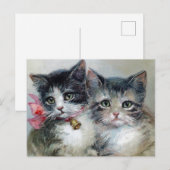 Schattig en schattig, Schattige kittens, Briefkaart (Voorkant / Achterkant)