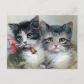 Schattig en schattig, Schattige kittens, Briefkaart (Voorkant)