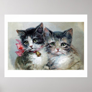 Schattig en schattig, Schattige kittens, Poster