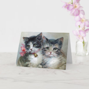 Schattig en Schattiger, Aardige Kittens, Kaart