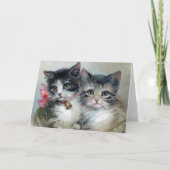 Schattig en Schattiger, Aardige Kittens, Kaart (Voorkant)