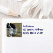 Schattig Engels Cocker Spaniel Etiket (Insitu)