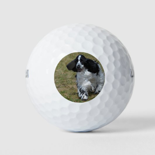 Schattig Engels Cocker Spaniel Golfballen (Voorkant)