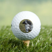 Schattig Engels Cocker Spaniel Golfballen (Insitu Shirt)