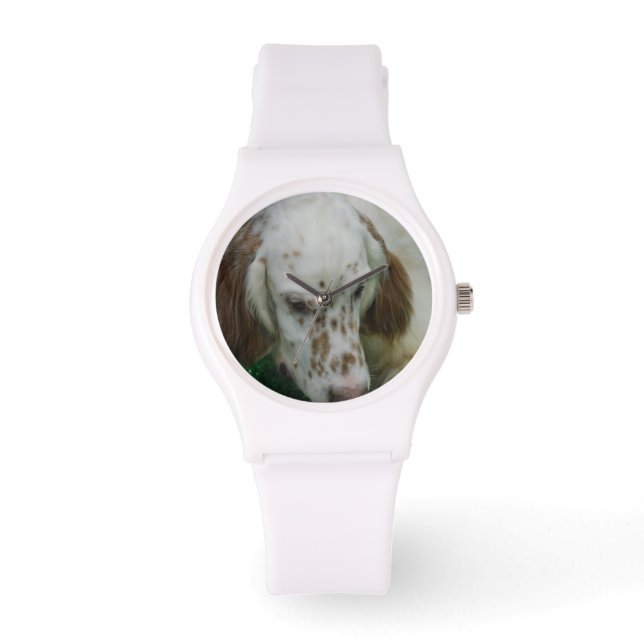Schattig Engels Setter Horloge (Voorkant)