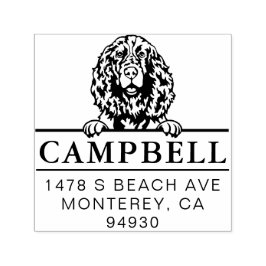 Schattig Engels Springer Spaniel Custom Dog Adres Zelfinktende Stempel