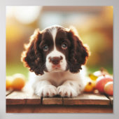 schattig engels springer spaniel puppy poster (Voorkant)