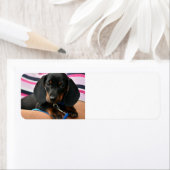 schattig etiket (Insitu)