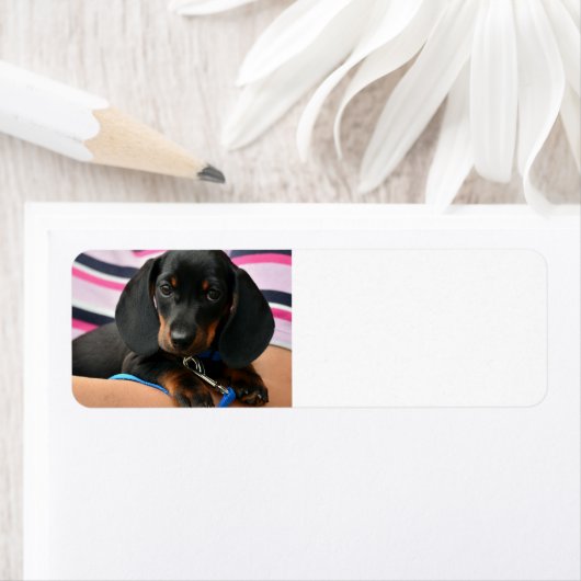 schattig etiket (Insitu)