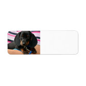 schattig etiket (Voorkant)