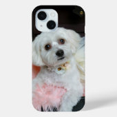 Schattig Fancy whitepapandportret foto Case-Mate iPhone Case (Achterkant)
