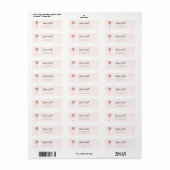 Schattig Flamingo Retouradres Etiket (Full Sheet)