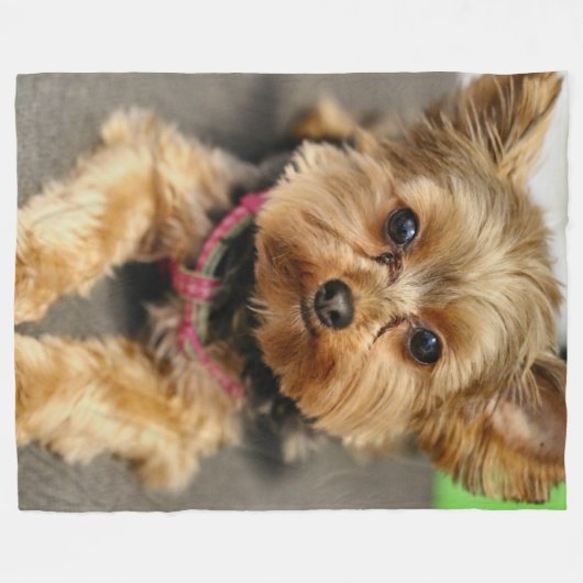 Schattig Fleece Deken (Voorkant (Horizontaal))