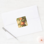 schattig fruit perzik liefhebbers Vierkante Stick Vierkante Sticker (Envelop)