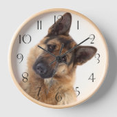 Schattig Funny German Shepherd Portrait (Voorkant)