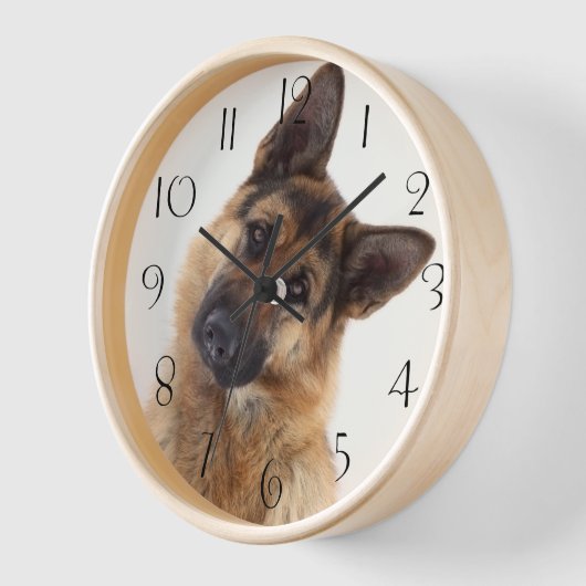 Schattig Funny German Shepherd Portrait (Hoek)