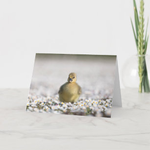 Schattig ganzenjong natuurfoto kaart