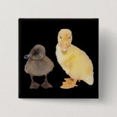Schattig Geel en Grijze slijmfoto Vierkante Button 5,1 Cm (Voorkant)