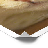 Schattig Geel Kattengezicht dat uit het Laken Kijk Poster (Hoek)