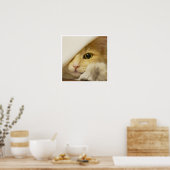 Schattig Geel Kattengezicht dat uit het Laken Kijk Poster (Keuken)