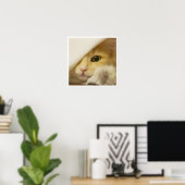 Schattig Geel Kattengezicht dat uit het Laken Kijk Poster (Thuiskantoor)