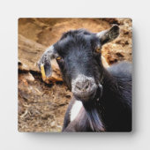 SCHATTIG GEITJE FOTOPLAAT (Voorkant)