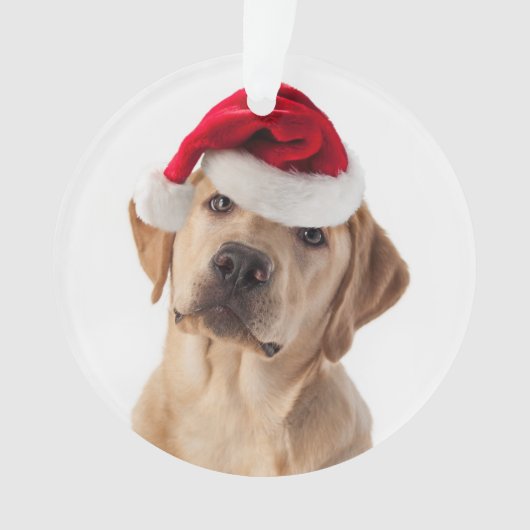 Schattig gele lab met Santa Hat Ornament (voorkant)