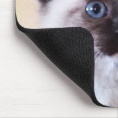 Schattig Gemaskerde Blauw Eyed Siamese Kitten Clos Muismat (Hoek)