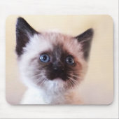 Schattig Gemaskerde Blauw Eyed Siamese Kitten Clos Muismat (Voorkant)