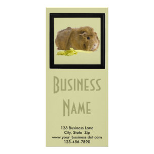 Schattig Ginger Guinea Pig Foto Pet Care Business Reclamekaart