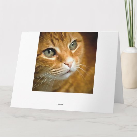 Schattig Ginger Tabby Cat Posing Pet Portret Bedankkaart (Achterkant)