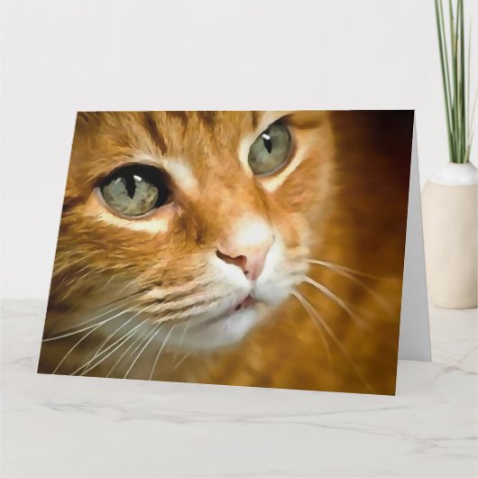 Schattig Ginger Tabby Cat Posing Pet Portret Bedankkaart (Voorkant)