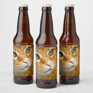 Schattig Ginger Tabby Cat Posing Pet Portret Bier Etiket