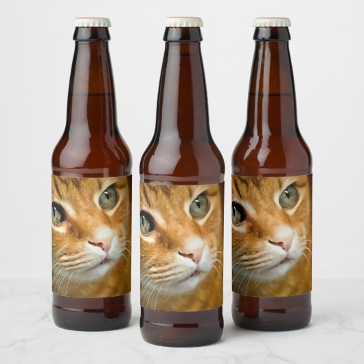 Schattig Ginger Tabby Cat Posing Pet Portret Bier Etiket (Flessen)