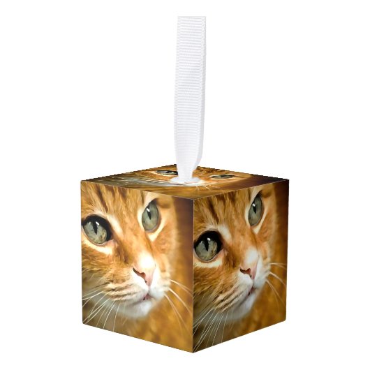 Schattig Ginger Tabby Cat Posing Pet Portret Decoratie (Voorkant hoekig)