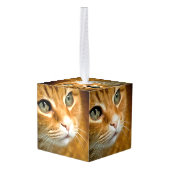 Schattig Ginger Tabby Cat Posing Pet Portret Decoratie (Achter hoekig)