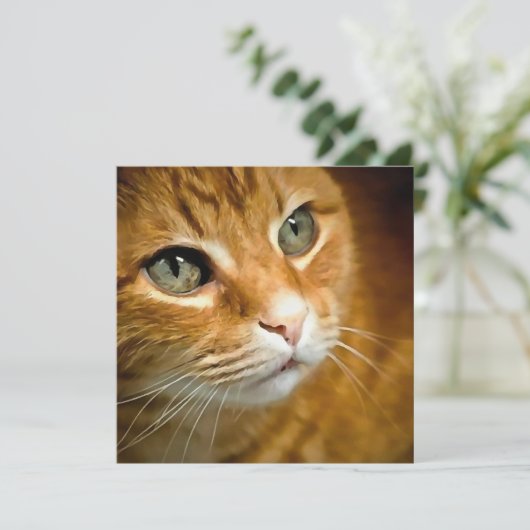Schattig Ginger Tabby Cat Posing Pet Portret Feestdagenkaart (Staand voorkant)
